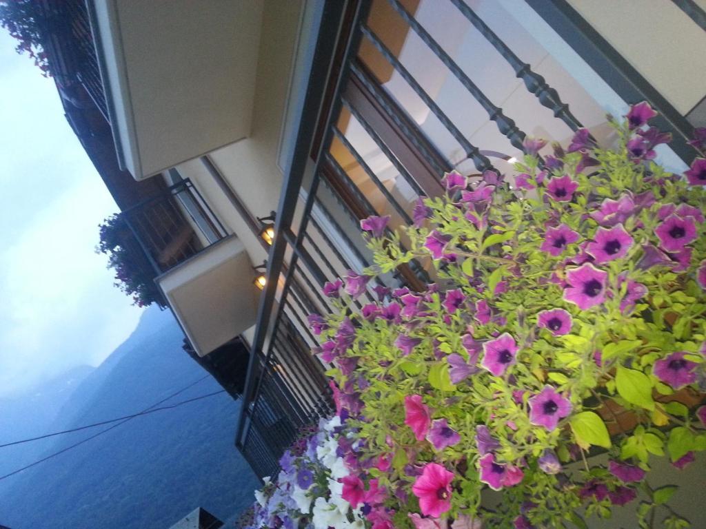 Bellaguarda 10min Da Tirano Bed & Breakfast